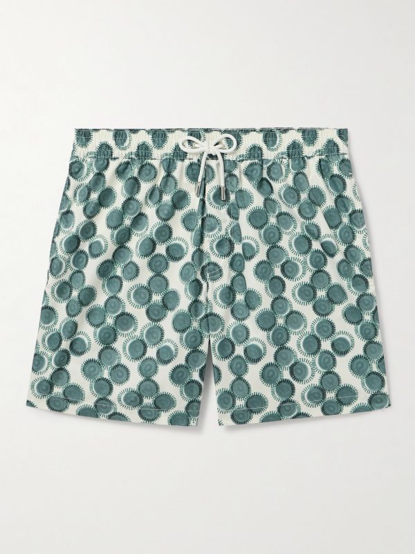 Straight-Leg Mid-Length Printed Swim Shorts