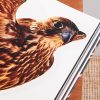Falcons from Saudi Arabia Hardcover Book - E3 Falcons from Saudi Arabia Hardcover Book - E3