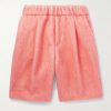 Wide-Leg Pleated Brushed Alpaca and Wool-Blend Shorts Wide-Leg Pleated Brushed Alpaca and Wool-Blend Shorts