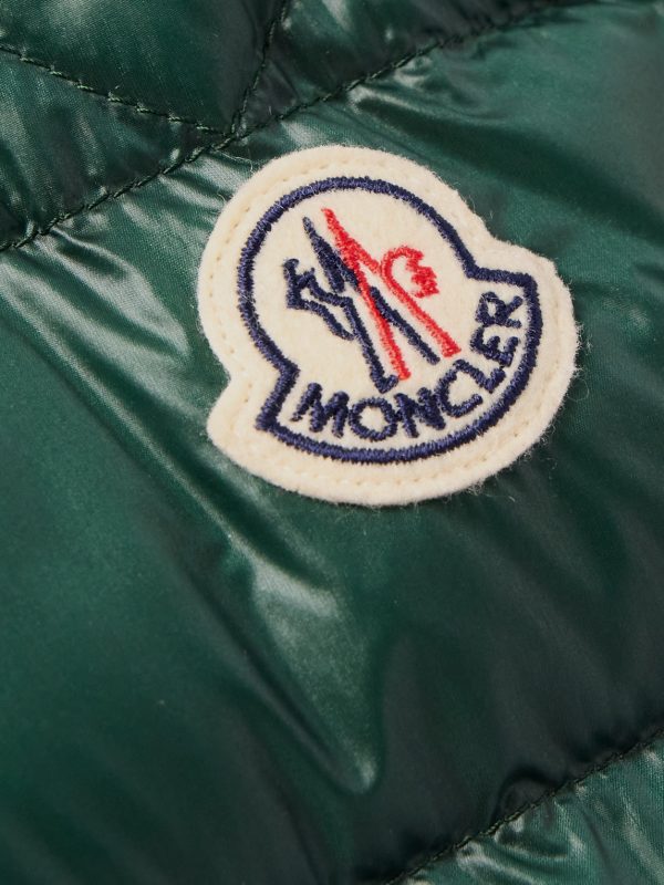 Acorus Logo-Appliquéd Quilted Glossed-Nylon Down Jacket - E1