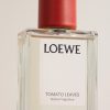 Home Fragrance - Tomato Leaves, 150ml - CU Home Fragrance - Tomato Leaves, 150ml - CU