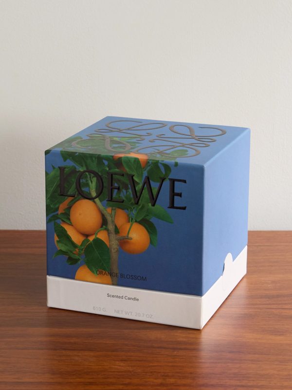 Orange Blossom Medium Scented Candle, 610g - E1