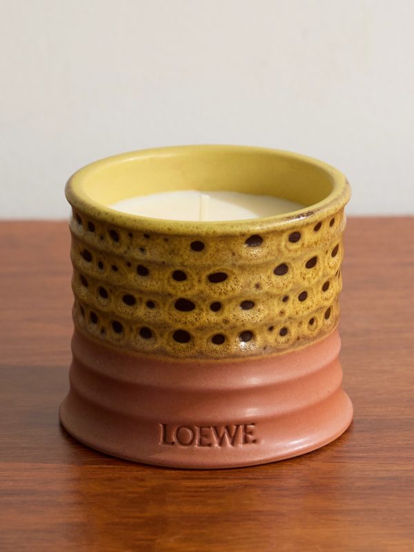Textura Mimosa Small Scented Candle, 170g
