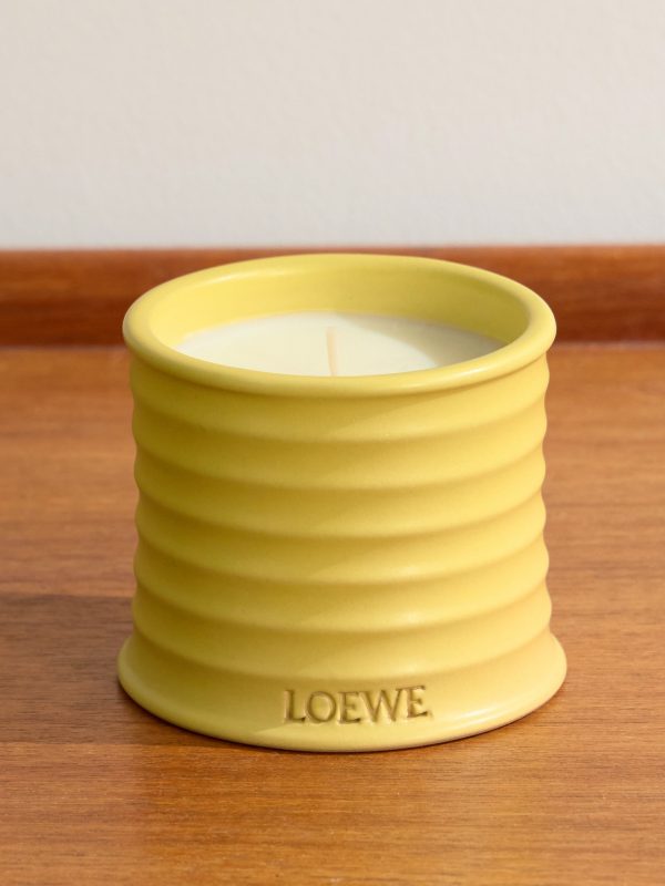 Honeysuckle Small Scented Candle, 170g Honeysuckle Small Scented Candle, 170g
