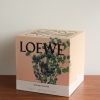 Oregano Large Scented Candle, 2120g - E1