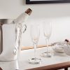 Iriana Set of Two Crystal Champagne Flutes - OU Iriana Set of Two Crystal Champagne Flutes - OU