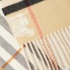 Fringed Checked Cashmere Scarf - CU Fringed Checked Cashmere Scarf - CU