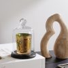 Glass Candle Cloche - OU Glass Candle Cloche - OU