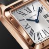 Santos-Dumont Small 38mm 18-Karat Rose Gold and Alligator Watch, Ref. No. WSSA0086 - CU
