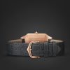 Santos-Dumont Small 38mm 18-Karat Rose Gold and Alligator Watch, Ref. No. WSSA0086 - E1