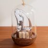 Oeno Motion Groom Walnut Wood, Glass and Steel Corkscrew Set