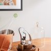 Oeno Motion Groom Walnut Wood, Glass and Steel Corkscrew Set - OU