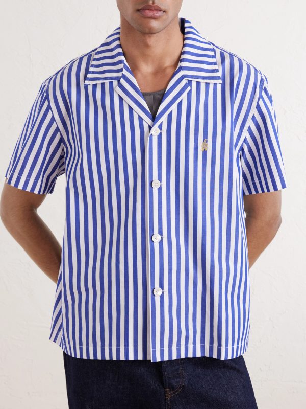 Calliope Camp-Collar Embroidered Striped Cotton-Poplin Shirt - FR