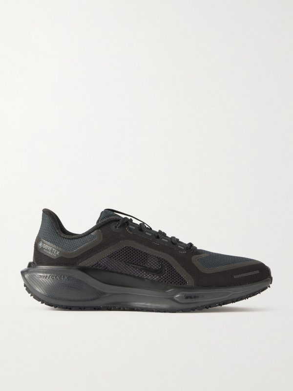 Pegasus 41 Mesh and GORE-TEX Sneakers Pegasus 41 Mesh and GORE-TEX Sneakers