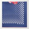 Fastcolor Selvedge Cotton Scarf Fastcolor Selvedge Cotton Scarf