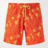 Mistral Embroidered Straight-Leg Swim Shorts