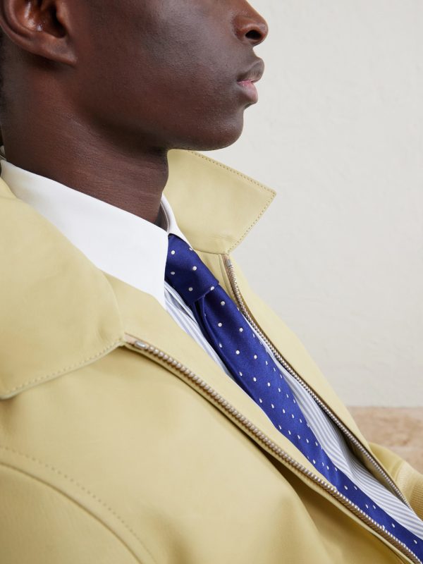 8cm Polka Dot Silk Tie - E1