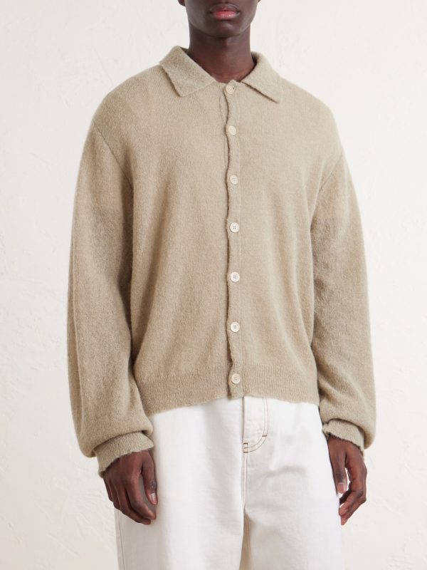 Evening Polo Alpaca and Wool-Blend Cardigan - FR