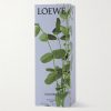 Scented Sticks Diffuser Refill - Liquorice, 245ml - OU Scented Sticks Diffuser Refill - Liquorice, 245ml - OU