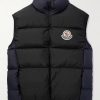 Almaz Logo-Appliquéd Two-Tone Quilted Shell Down Gilet