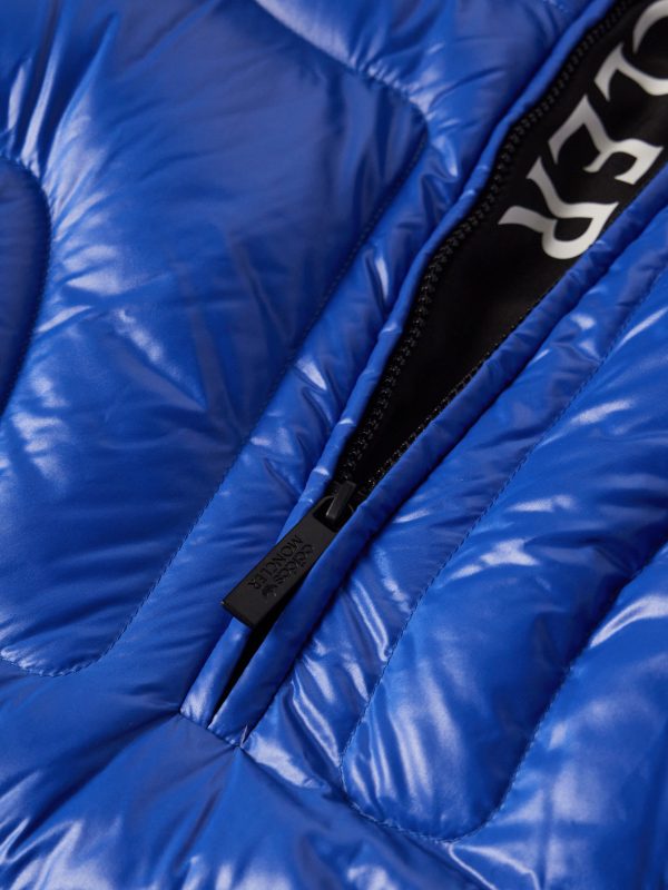 + adidas Originals Chambery Canvas-Trimmed Quilted Glossed-Shell Hooded Down Jacket - CU
