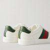 Ace Webbing-Trimmed Leather Sneakers - BK Ace Webbing-Trimmed Leather Sneakers - BK