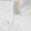 Cotton Oxford Shirt - E2 Cotton Oxford Shirt - E2