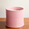 Ivy Scented Candle, 2120g Ivy Scented Candle, 2120g